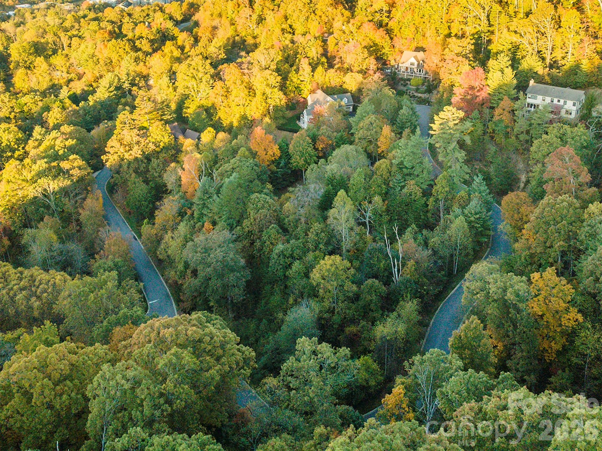 510 Sweetspire Ridge Asheville, NC 28804 - Photo 10 of 24 an aerial view of residential houses with outdoor space and trees