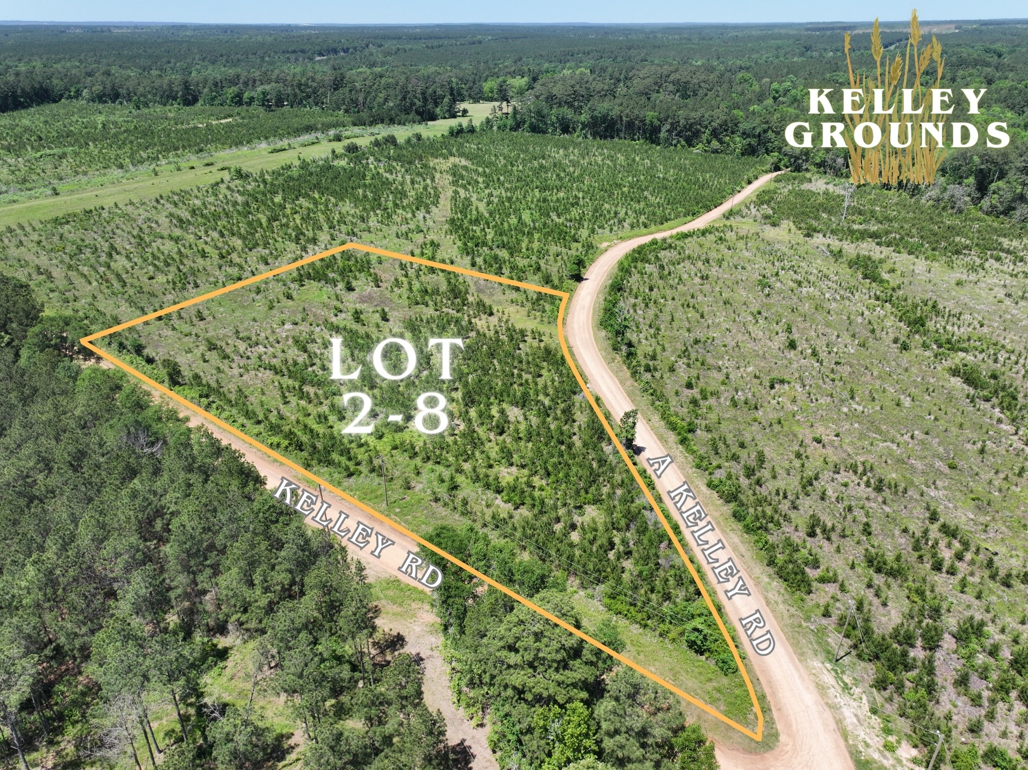 2-2 L L Kelly Road Livingston, TX 77351 - Photo 16 of 23 Gallery Image 16