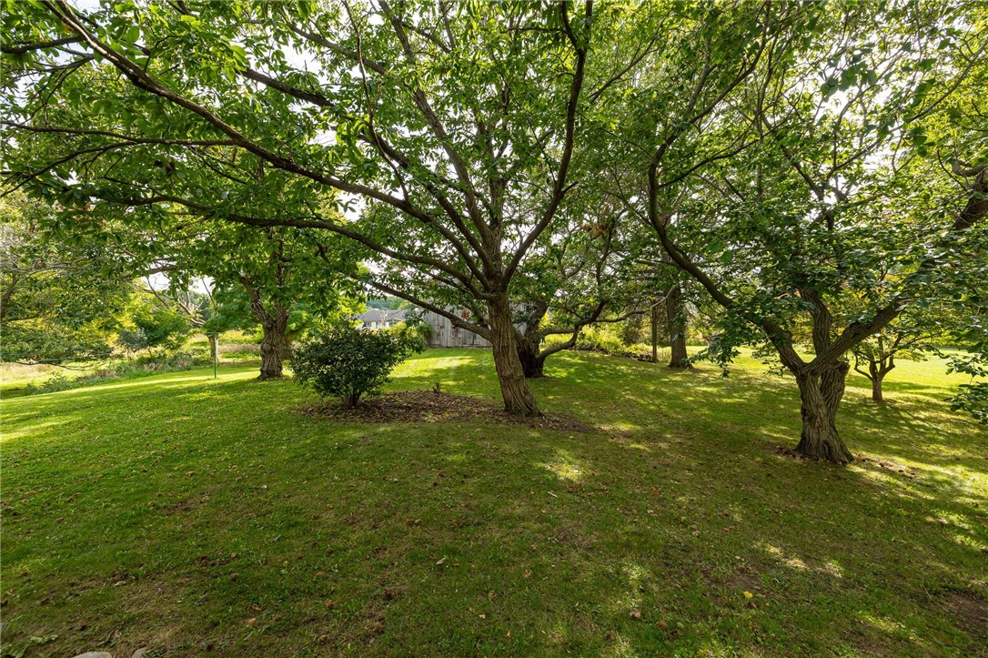 145 Stone Road Henrietta, NY 14534 - Photo 35 of 43