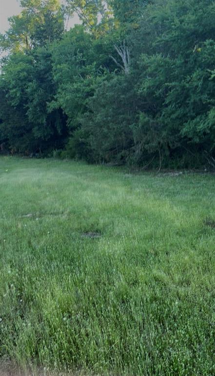 0 Fm-2728 Road, Unit 3 Terrell, TX 75161 - Photo 7 of 17 Gallery Image 7