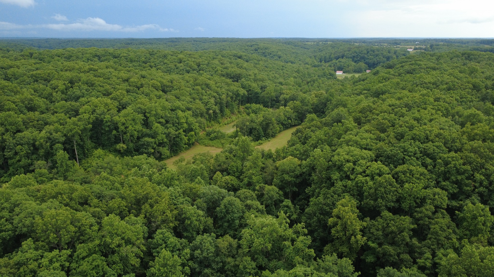 7075 Pinewood Road Nunnelly, TN 37137 - Photo 9 of 49 an aerial view of residential houses with outdoor and green space