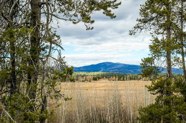 $325,000 | Lot 4 Wood Run Trail, Unit 4, McCall, ID 83638