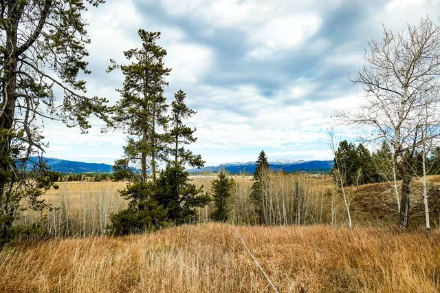 $325,000 | Lot 4 Wood Run Trail, Unit 4, McCall, ID 83638