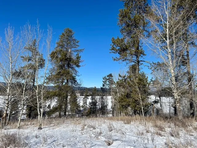 $325,000 | Lot 4 Wood Run Trail, Unit 4, McCall, ID 83638