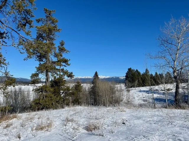 $325,000 | Lot 4 Wood Run Trail, Unit 4, McCall, ID 83638