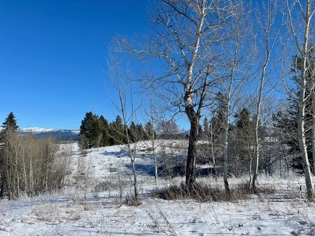 $325,000 | Lot 4 Wood Run Trail, Unit 4, McCall, ID 83638