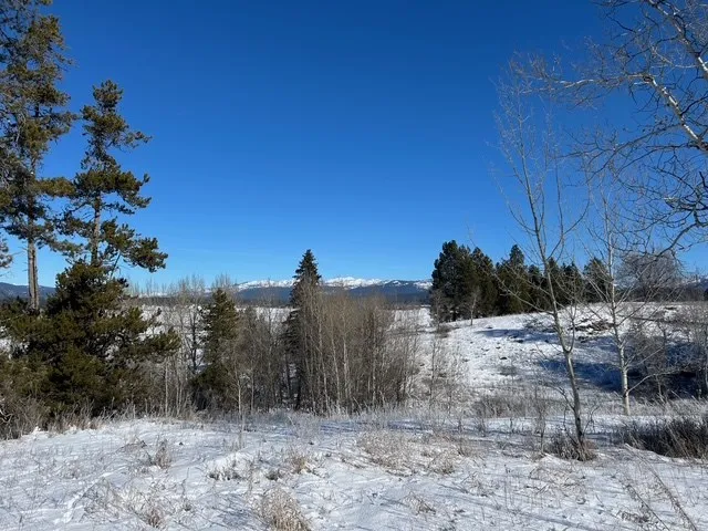 $325,000 | Lot 4 Wood Run Trail, Unit 4, McCall, ID 83638