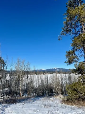$325,000 | Lot 4 Wood Run Trail, Unit 4, McCall, ID 83638