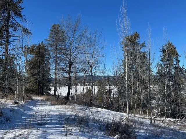 $325,000 | Lot 4 Wood Run Trail, Unit 4, McCall, ID 83638