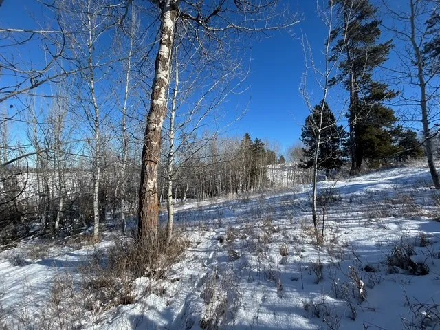 $325,000 | Lot 4 Wood Run Trail, Unit 4, McCall, ID 83638