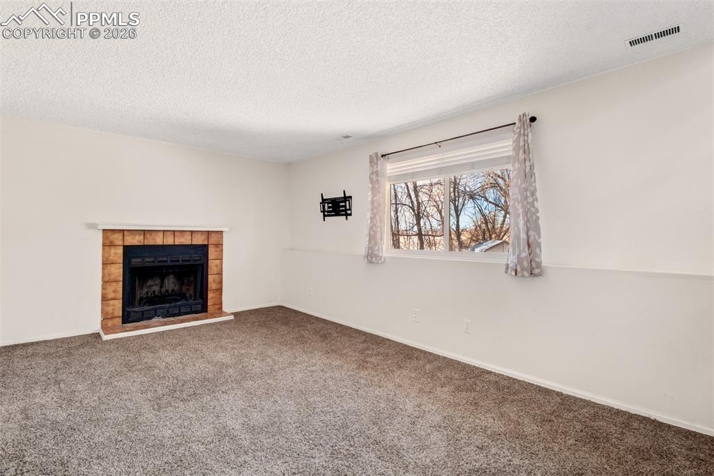541 Blossom Field Road Fountain, CO 80817 - Photo 11 of 35 an empty room with a fireplace and window