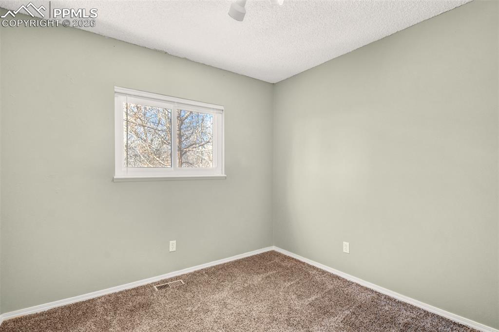 541 Blossom Field Road Fountain, CO 80817 - Photo 19 of 35 an empty room with windows