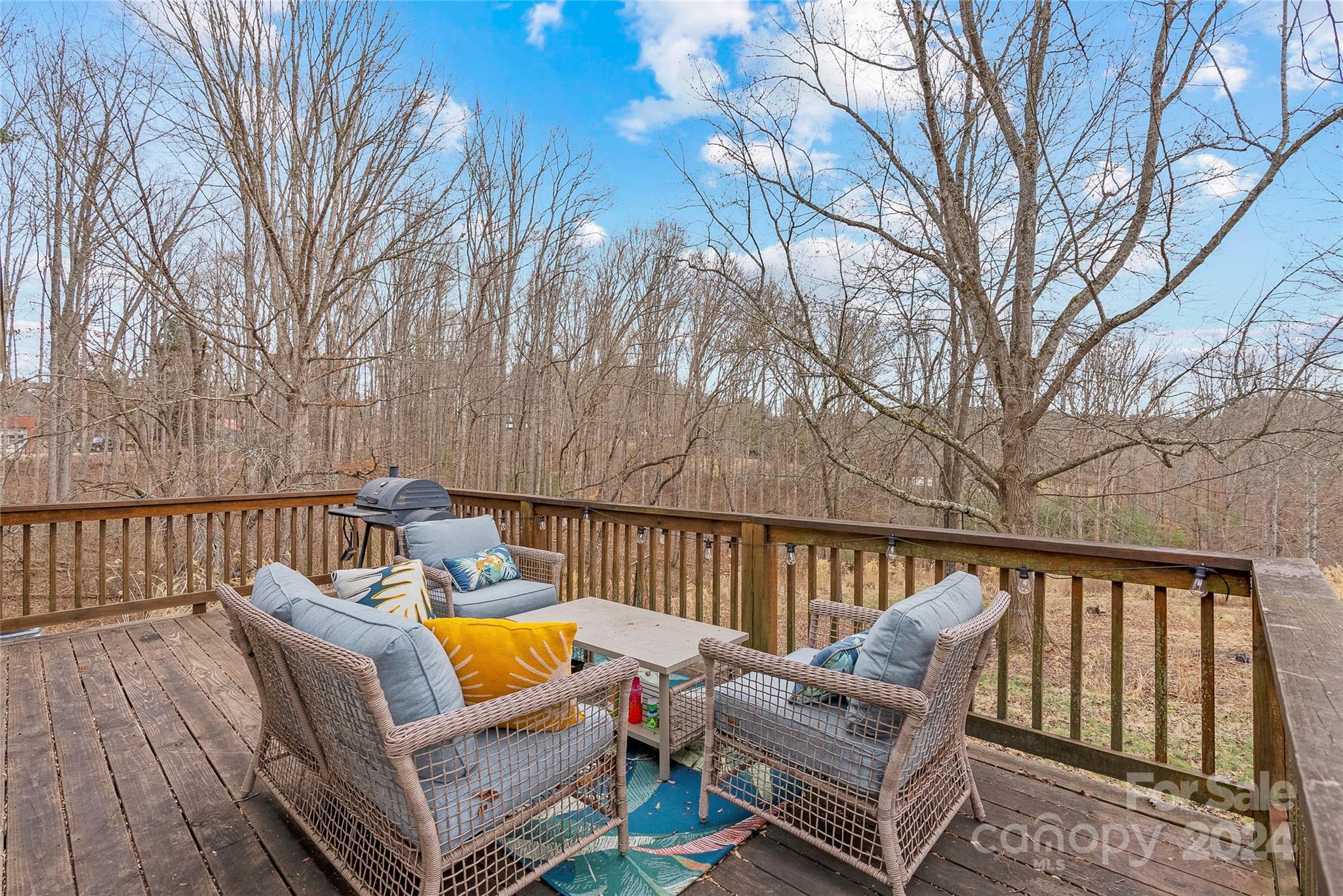 700 Jupiter Road Weaverville, NC 28787 - Photo 22 of 26 Gallery Image 22