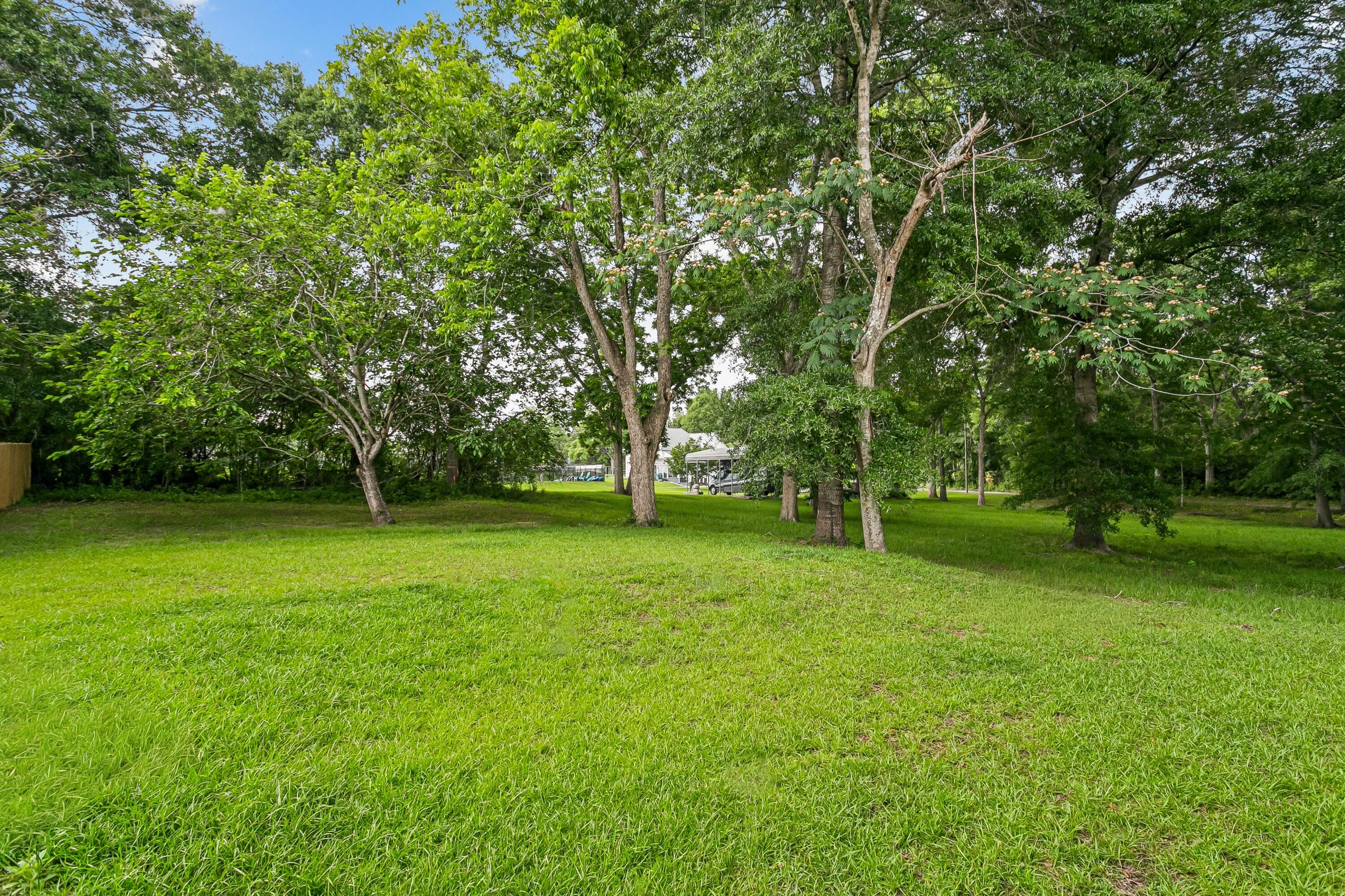 8090 3rd Street Laurel Hill, FL 32567 - Photo 33 of 34 Pecans in your backyard!