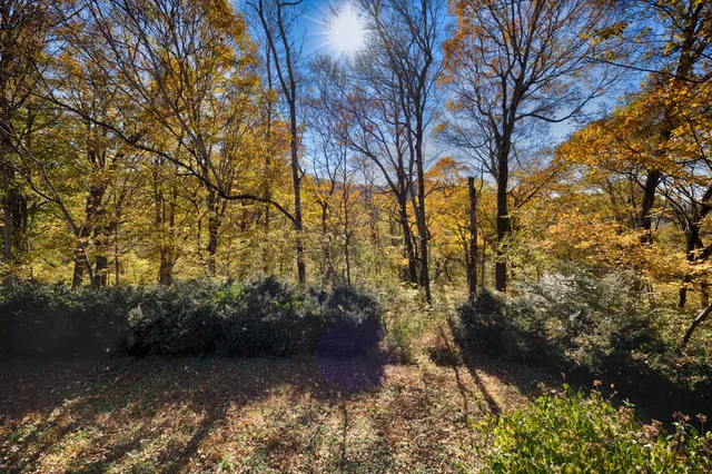 $449,000 | 809 Lofton Hall Road, Ardmore, TN 38449