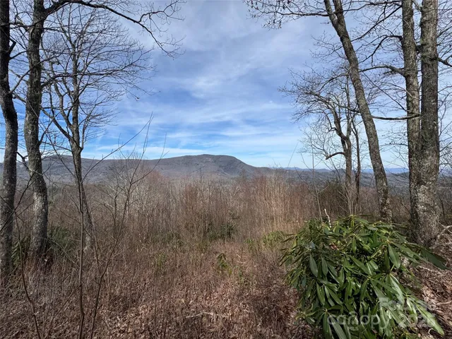 a view of mountain view with trees in the background