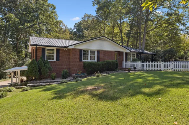 a view of a backyard with plants and large trees