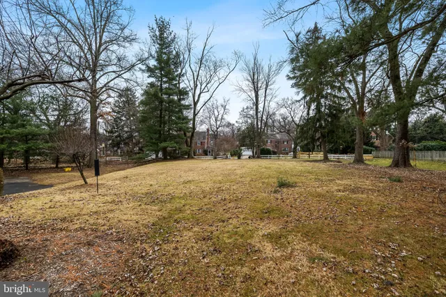 a view of outdoor space with trees