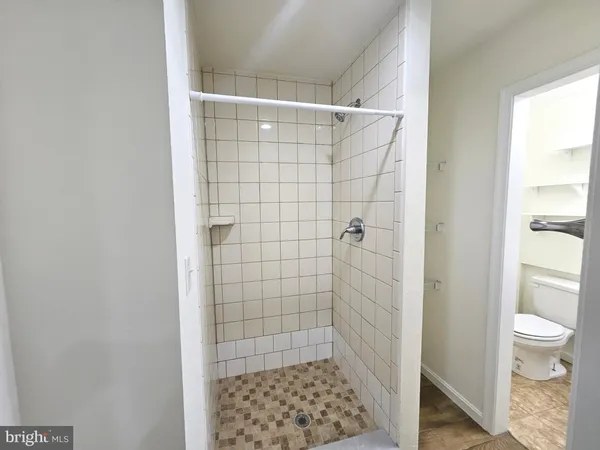 a bathroom with a shower and a toilet
