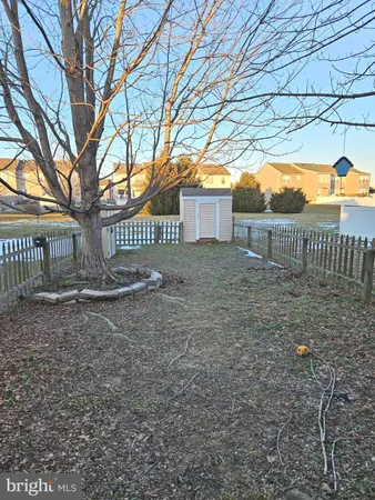 a view of a yard with large trees and wooden fence