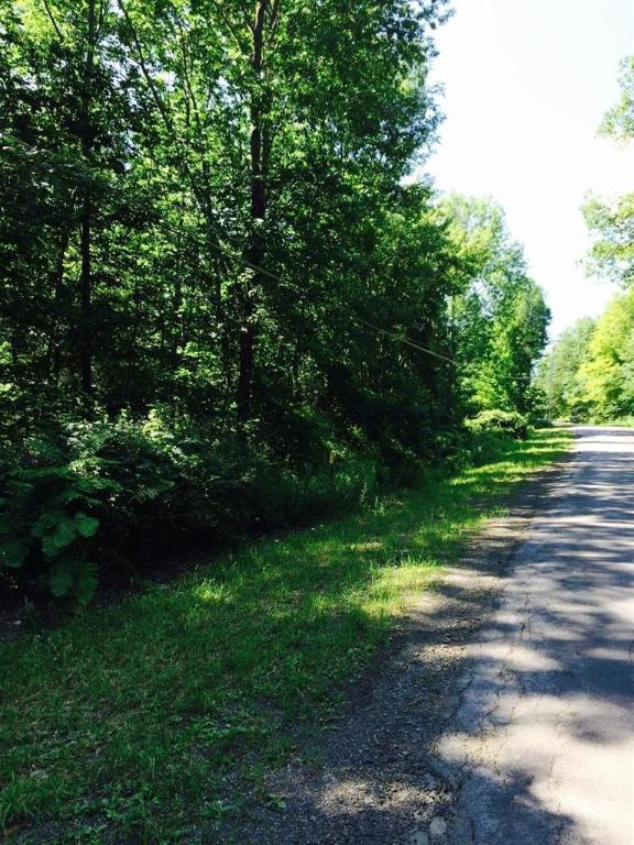 0 Cemetery Hill Road Oneonta, NY 13820 - Photo 2 of 2