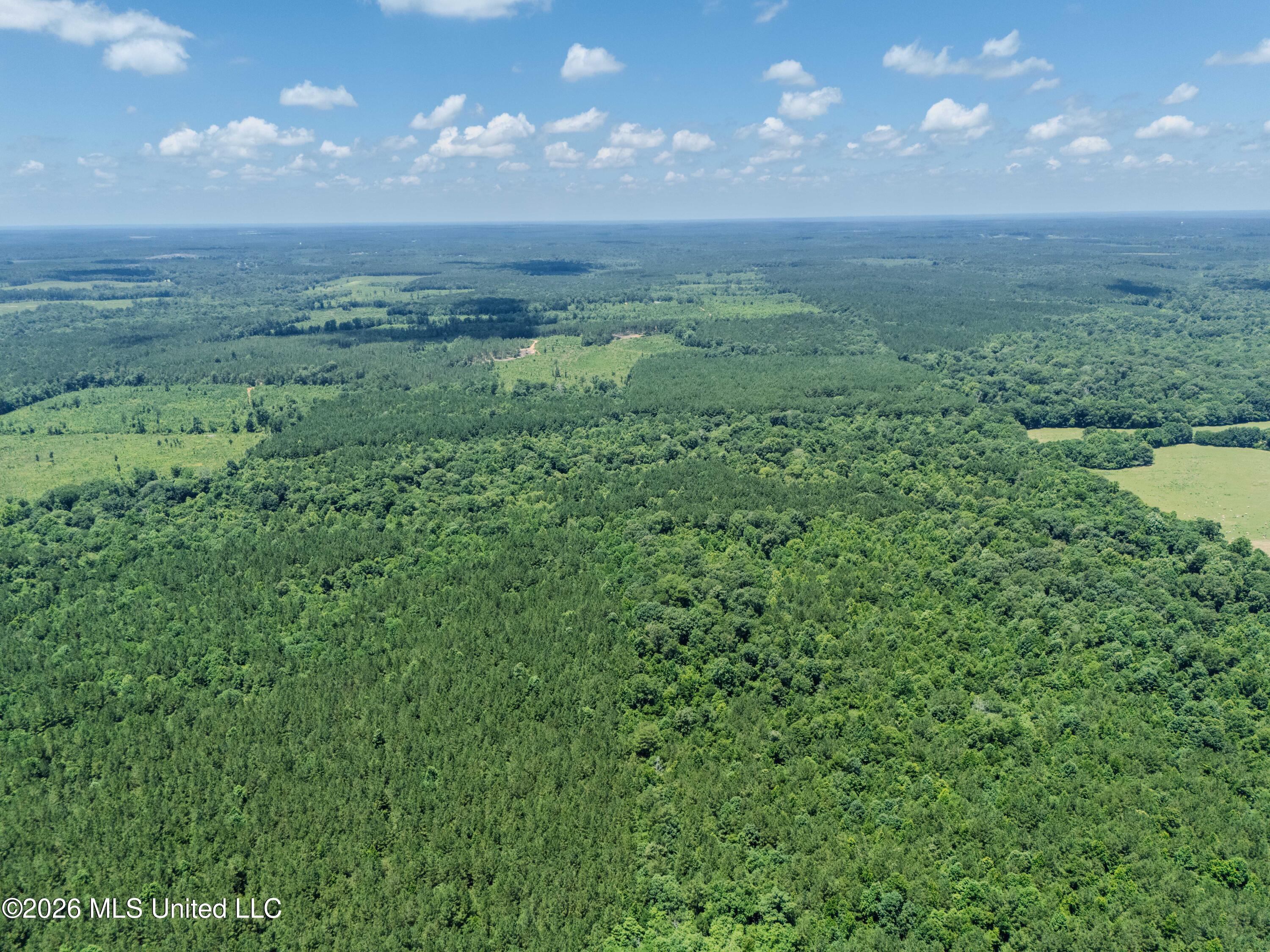 23 Co Road Bay Springs, MS 39422 - Photo 42 of 64 DJI_20260611122141_0004_D