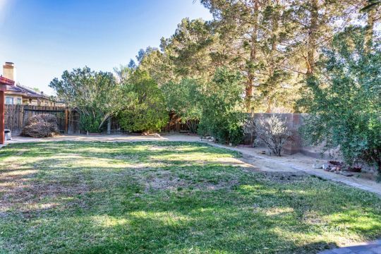 512 Amanda Street Ridgecrest, CA 93555 - Photo 42 of 44 a view of a backyard with large trees
