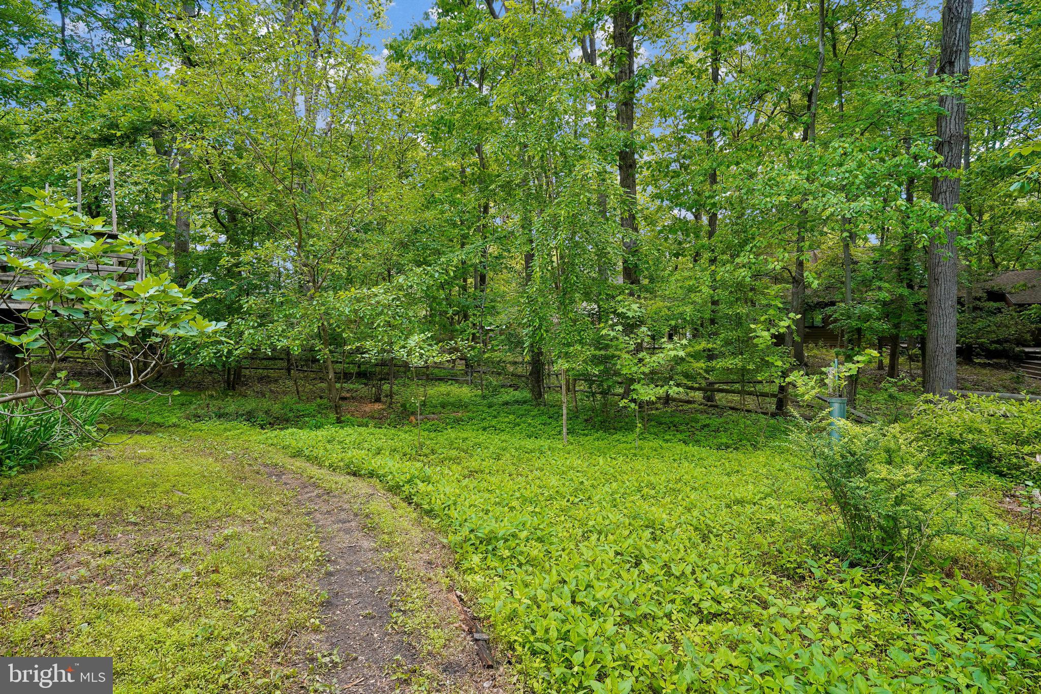 10802 Dayflower Court Reston, VA 20191 - Photo 35 of 44 Rear yard