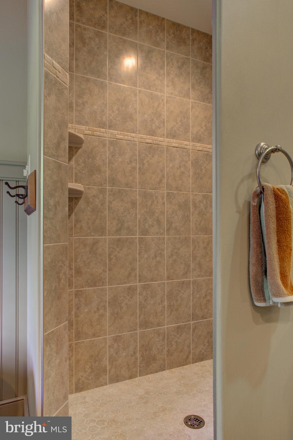 745 Pinkerton Road Mount Joy, PA 17552 - Photo 45 of 103 Master Bath Shower