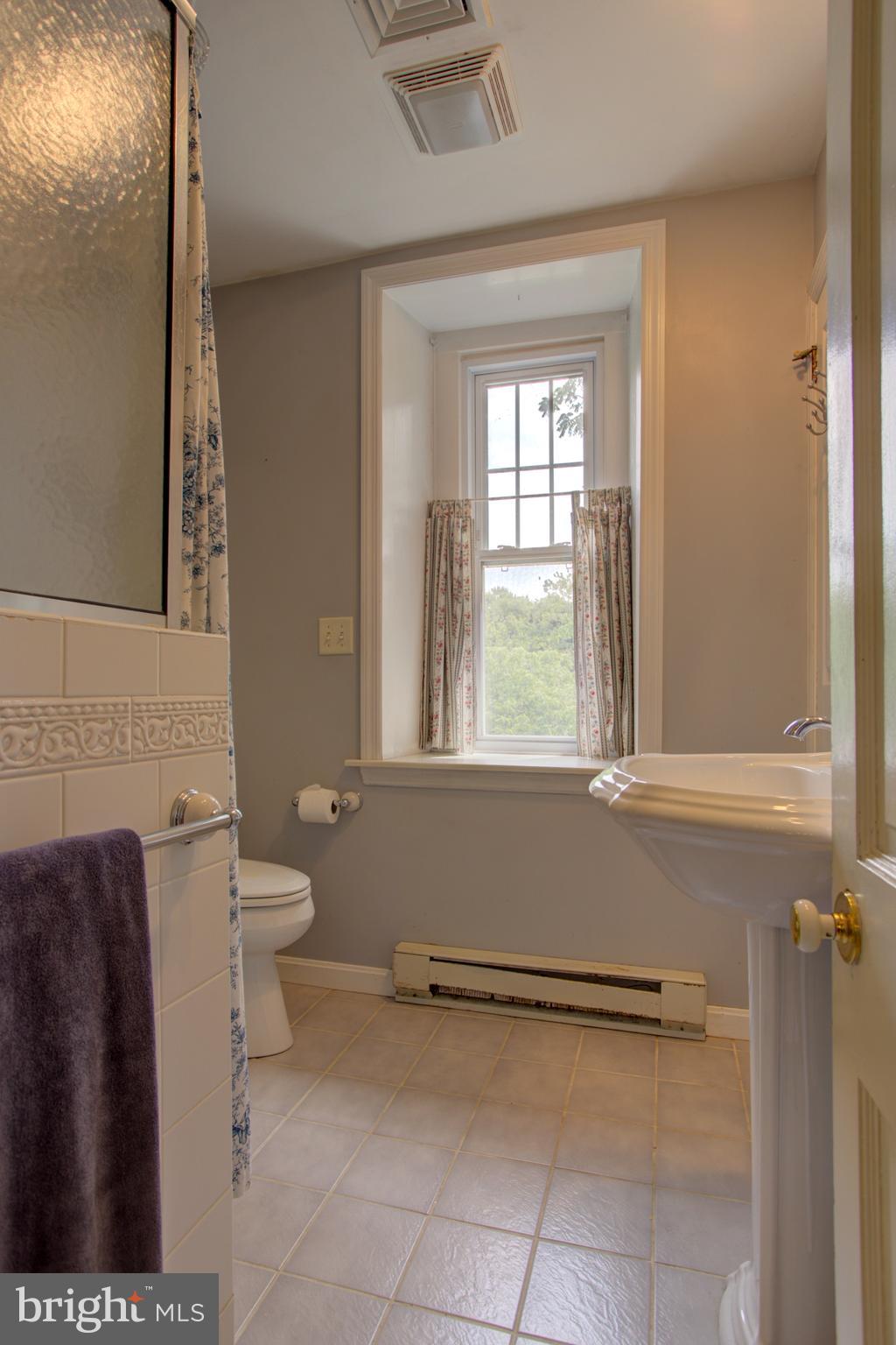 745 Pinkerton Road Mount Joy, PA 17552 - Photo 56 of 103 Second Bath