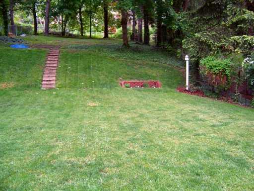 487 Haverhill Road Mt. Lebanon, PA 15228 - Photo 5 of 5 Yard/Garden.