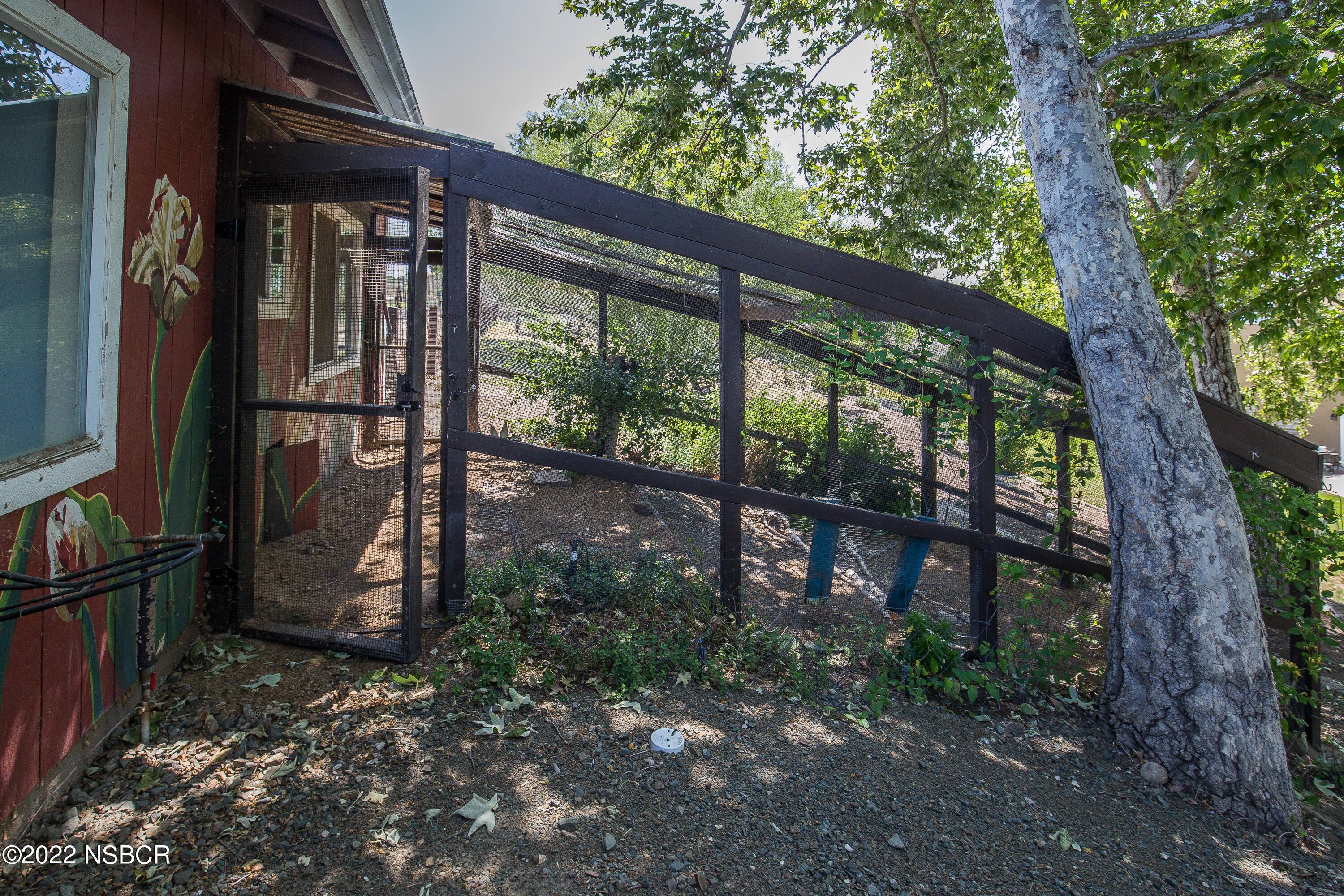 1833 Cougar Ridge Road Buellton, CA 93427 - Photo 32 of 46 a backyard of a house with barbeque oven