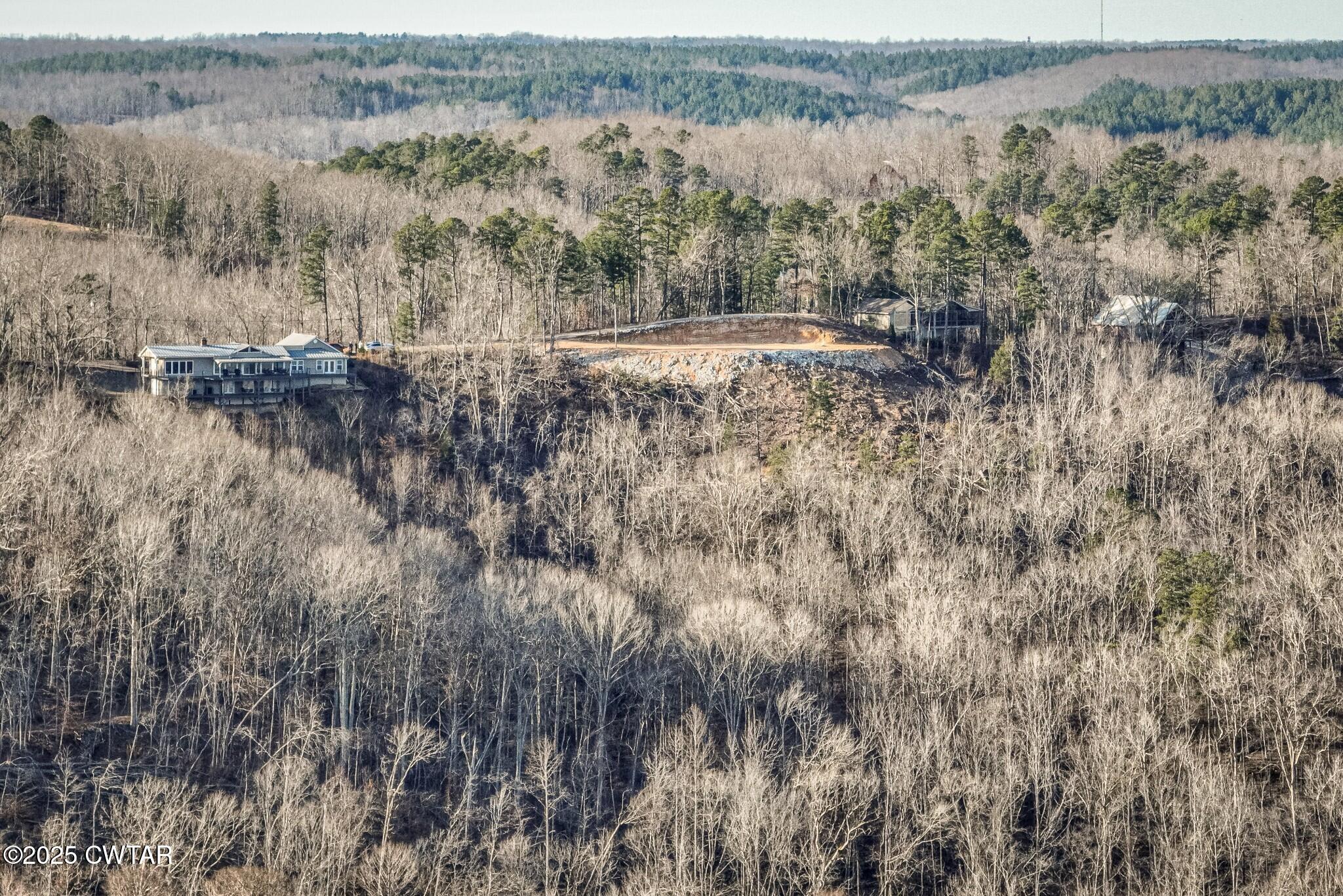 49-50 Ridgeway Drive Sugar Tree, TN 38380 - Photo 11 of 29 a view of a forest with trees in the background
