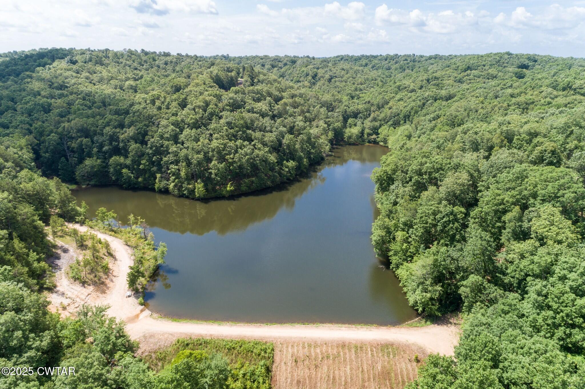 49-50 Ridgeway Drive Sugar Tree, TN 38380 - Photo 14 of 29 an aerial view of a house