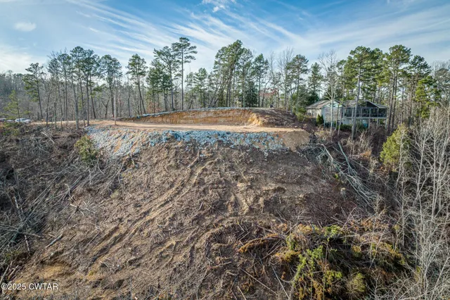 a view of a backyard with large trees