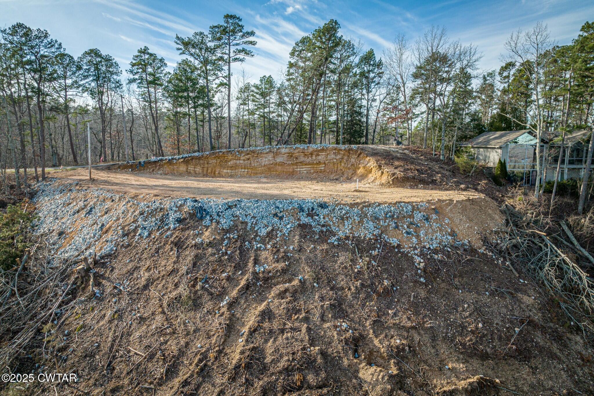49-50 Ridgeway Drive Sugar Tree, TN 38380 - Photo 24 of 29 a view of a backyard with large trees