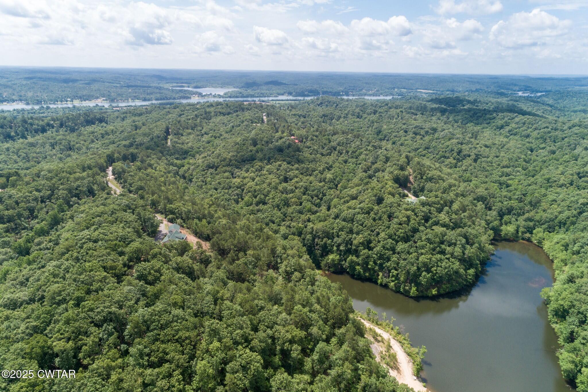 49-50 Ridgeway Drive Sugar Tree, TN 38380 - Photo 28 of 29 a view of a green field with lots of bushes