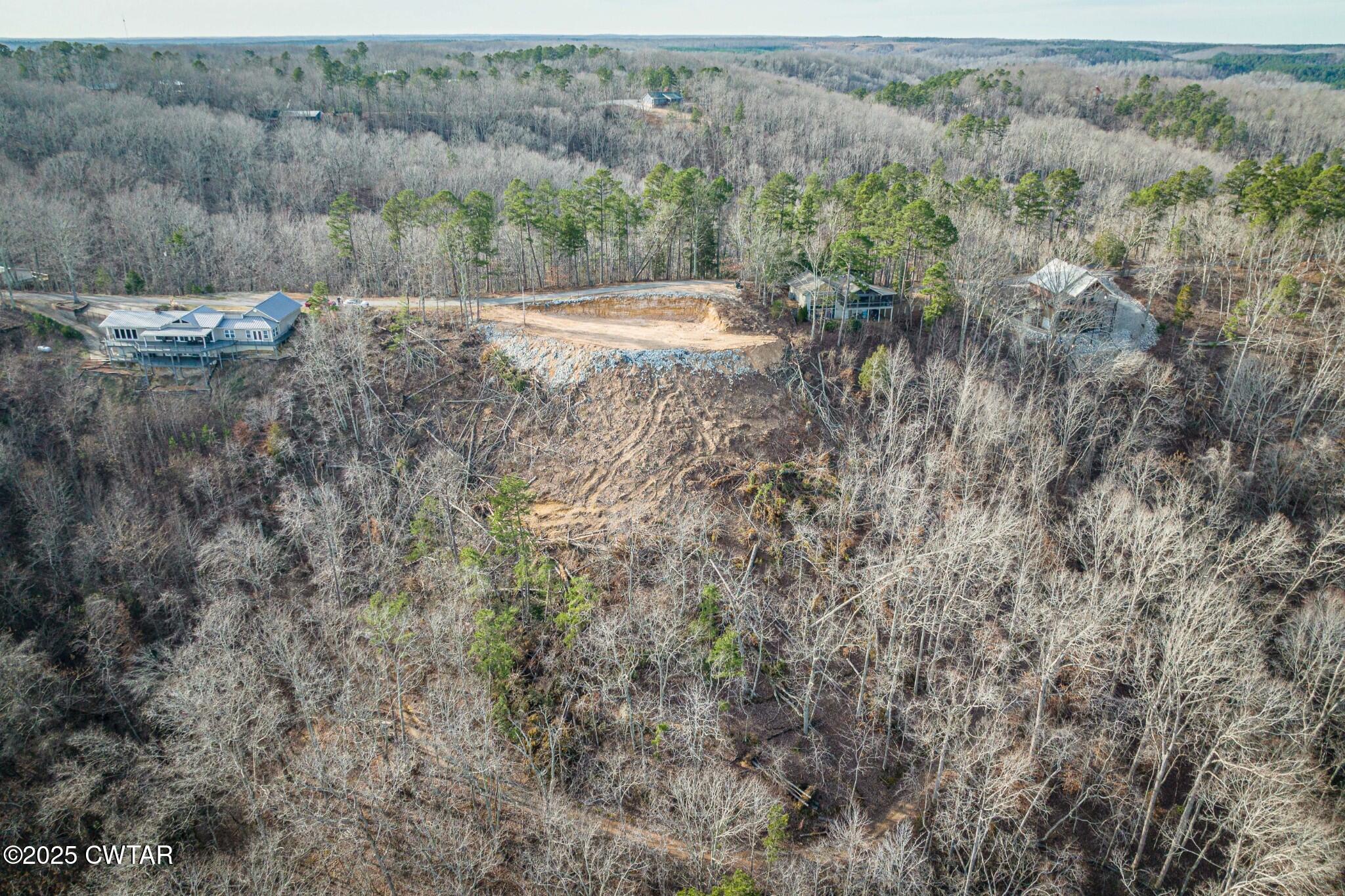 49-50 Ridgeway Drive Sugar Tree, TN 38380 - Photo 6 of 29 a view of a dry yard with green space
