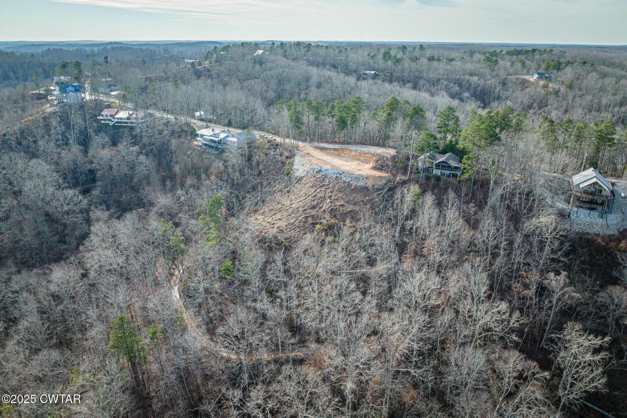 49-50 Ridgeway Drive Sugar Tree, TN 38380 - Photo 7 of 29 a view of a dry yard with green space