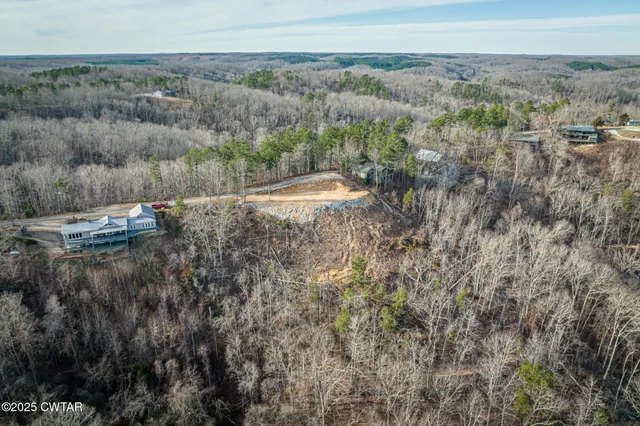 a view of a forest with trees in the background