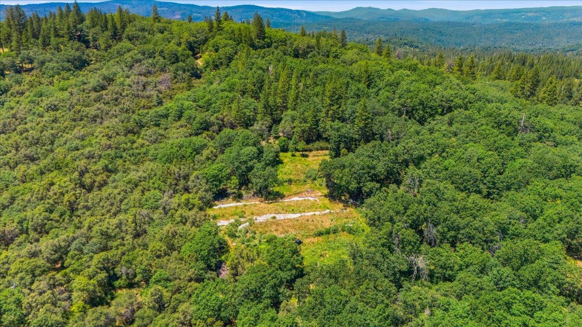 20154 Sky Ridge Place Nevada City, CA 95959 - Photo 2 of 20 a view of a lush green forest with lush green forest