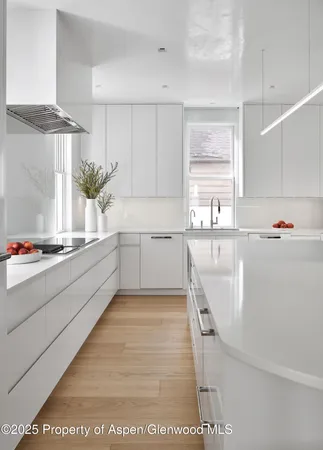 $200,000 | 227 East Bleeker Street, Aspen, CO 81611