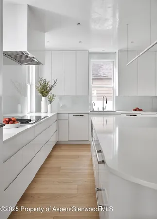 $200,000 | 227 East Bleeker Street, Aspen, CO 81611