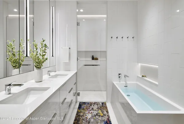 $200,000 | 227 East Bleeker Street, Aspen, CO 81611