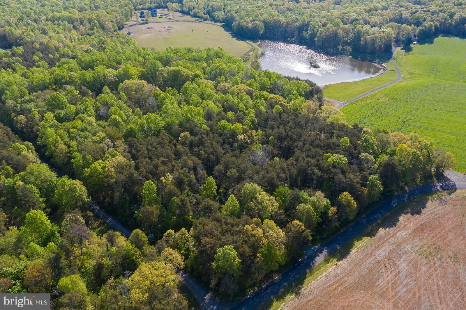 12261 Old Mill Road Midland, VA 22728 - Photo 39 of 39 Gallery Image 39