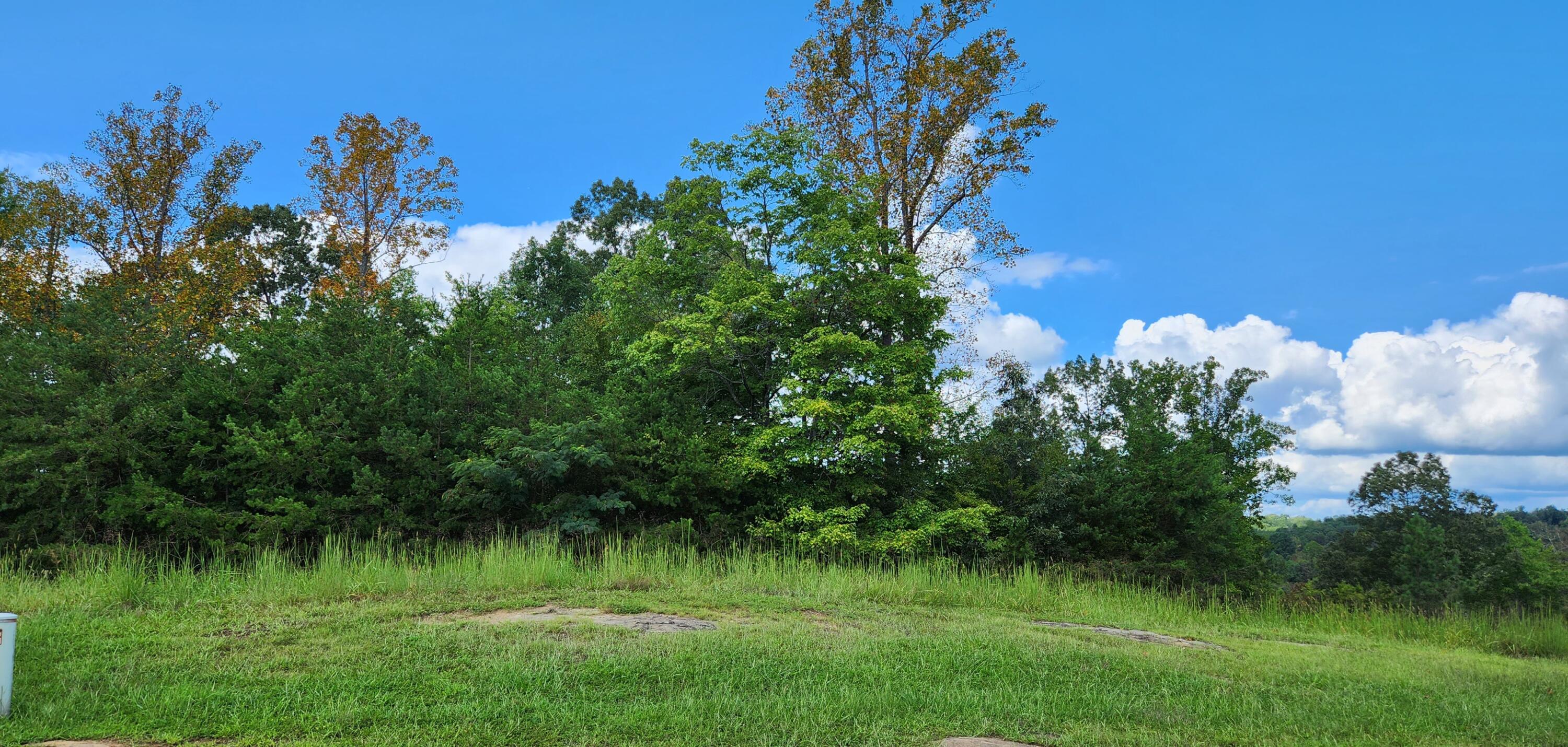 Lot 7 Old Point Road Moneta, VA 24121 - Photo 3 of 12 Road Frontage