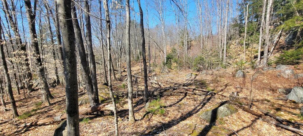 Lot 21 River Road Avon, ME 04966 - Photo 4 of 23 20260409_110352