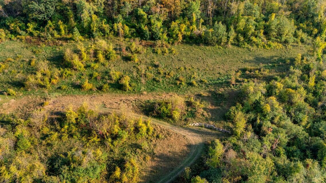 Lot 9 Stone Hill Road Medary, WI 54601 - Photo 4 of 10 4