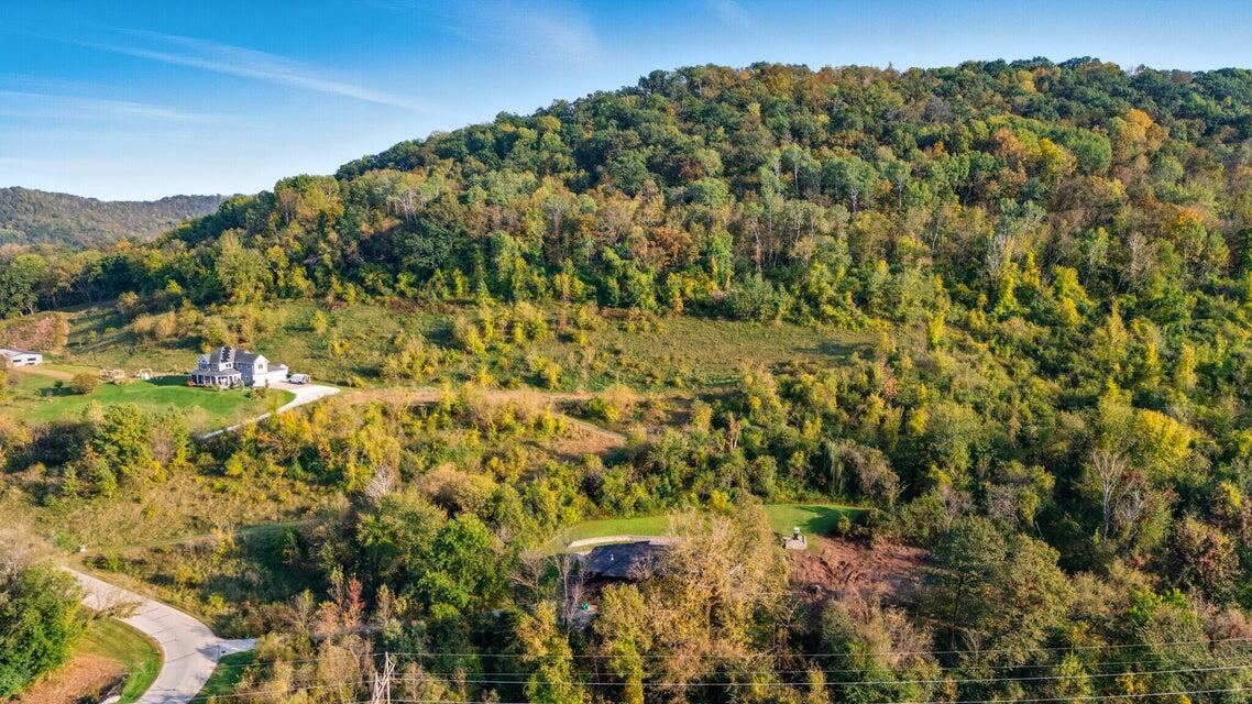 Lot 9 Stone Hill Road Medary, WI 54601 - Photo 8 of 10 8