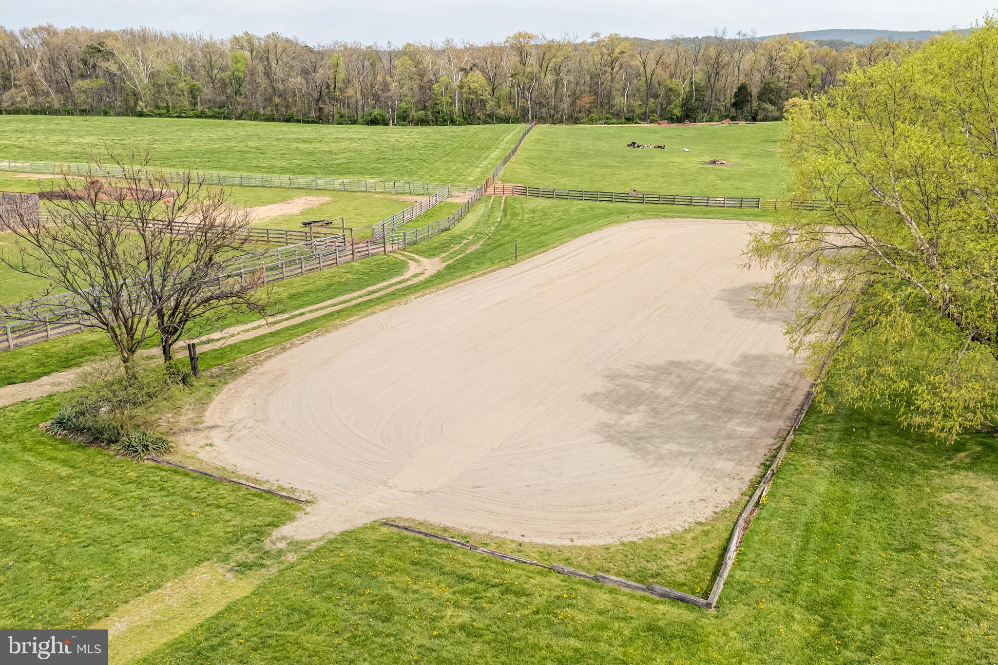 3637 Millwood Road Boyce, VA 22620 - Photo 12 of 62